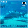 Vacant Bearings - Vadime