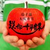 送你一个平安果 (伴奏) - 徐子崴&大庆小芳