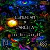 Luz Del Sol (Ohxala Remix) - Carlita&Lemurian