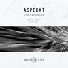 Light Disciples - Aspeckt