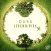 Serendipity - Durs
