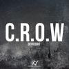 C.R.O.W. (Original Mix) - DeFreight