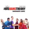 Theme from The Big Bang Theory (Freestyle Version) - Barenaked Ladies