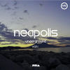 Tribalico (Original Mix) - Nipkoss
