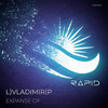 Expanse Of (Radio Edit) - L)Vladimir(P