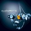 Controlled Emotions - Audiomatic&Vaishiyas