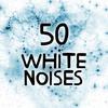 White Noise: Spring Falls - Whitenoise