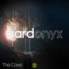 9 Reasons - Aardonyx