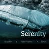 Serenity(feat. Braydon & Byron) - Nate Prophet&Braydon&Byron
