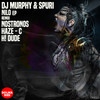 Nilo (Nostromos Remix) - Spuri&DJ Murphy&Nostromos