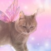 Angel - LAYLA