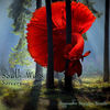 Sorcery - South Wind