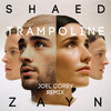 Trampoline (Joel Corry Remix|Extended Mix) - SHAED&ZAYN&Joel Corry