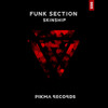 Funk Section - Skinship