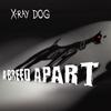 Final Command (Mix 2) - remix - X-Ray Dog