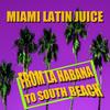 Loaded Battery - Miami Latin Juice&Sinsoneria