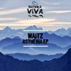 Music (Original Mix) - Waitz