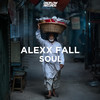 Soul (Facu Baez Remix) - Alexx fall&Facu Baez