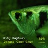 Dreams Come True (Original Mix) - City Capture