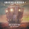 Hold Onto Me - Awakend&Herrin&Sara Skinner