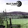 Elysium (N&R Project Remix) - TN&Alpha Force&N&R Project