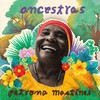 El Piano de Dolores y Estefanía(Rumba-Chalupa-Timba)[feat. Aymee Nuviola] - Petrona Martínez&Aymee Nuviola