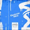 Electronic Mind (Radio Mix) - Lev Kitkin