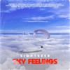 SKY FEELINGS (Extended|Explicit) - Sightseer