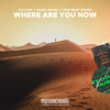 Where Are You Now - Poylow&Shiah Maisel&New Beat Order&Felix Safran De Laet&Sebastian Arman&Joacim BO Persson&Dag Daniel Osmund Lundberg&Michael Patrick Kelly