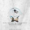 Breaking Free - Guru Project&Lisa Williams&Audiomodelz