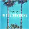 In the Sunshine (Teddy Black Remix) - Cali Satellites&TIAAN&Teddy Black