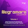 Mentre tutto scorre(Originally performed by Negramaro) (Strumentale) - Aurora Star