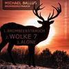 Brombeerstrauch - Michael Ballus