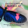 Everything For You (Anturage & Biatlone Remix) - Saccao&Anturage&Biatlone
