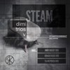 Steam (Thane Percu Remix) - Dimitrios V