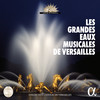 III. Tibi Cherubim et Seraphim (Live Recording at La Chapelle Royale du Château de Versailles) - Stradivaria&Daniel Cuiller&Les Cris de Paris&Henry Madin&Anonymous