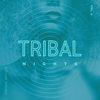 Tribal Godfather (Original Mix) - Steve Trash