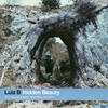 Hidden Beauty - Luiz B