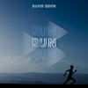 Run - David Briph