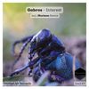 Interest - Gabros