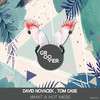 What A Hot Mess (Original Mix) - David Novacek&Tom Case