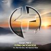 Flying On Your Soul (Rich Triphonic Remix) - Marcprest&Rich Triphonic
