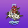 ดีไม่พอ - Quest