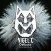 Delicate (Original Mix) - Nigel C