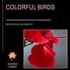 Shadows Of Purity (Original Mix) - Maha Rudransh