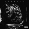 Black on Black (Explicit) - Scarzeo