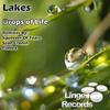 Drops of Life (Squeezer Of Tears Remix) - Lakes