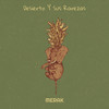 Nocturnal - Merak