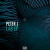 Lab (Original Mix) - Peter J