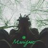 Manifest (Freestyle) (Explicit) - Cash Green